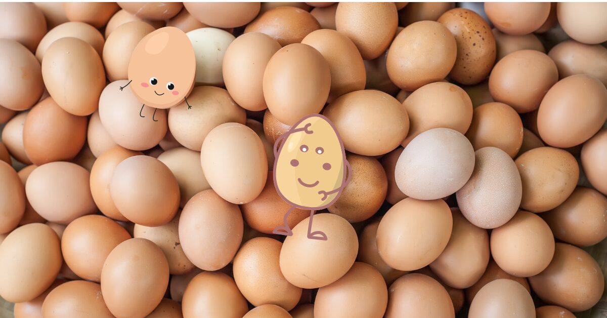 simple picture of multiple eggs in basket