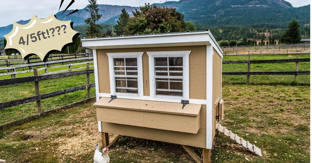 a beautiful chicken coop in meadows