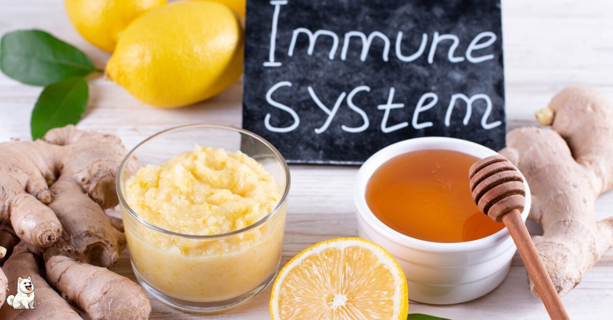 DIFFERENT INGREDIENTS AND BONE BROTH FOR IMMUNITY